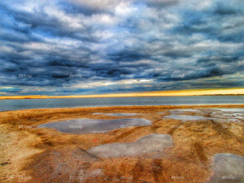 Scenic view of nature