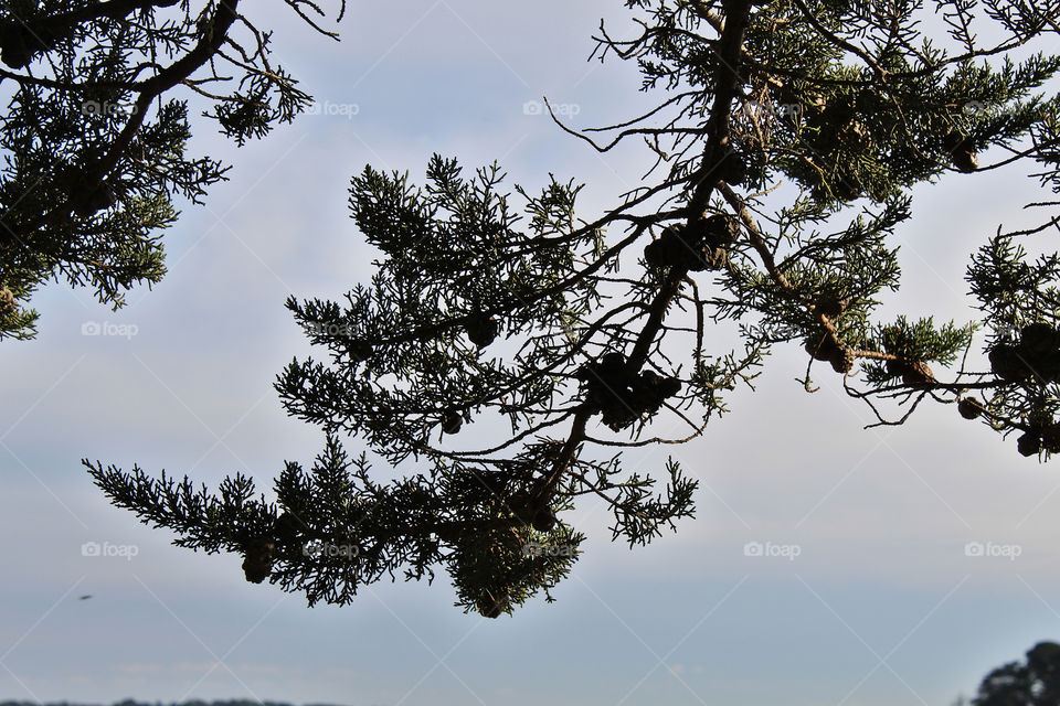 Gulf of Morbihan Brittany France