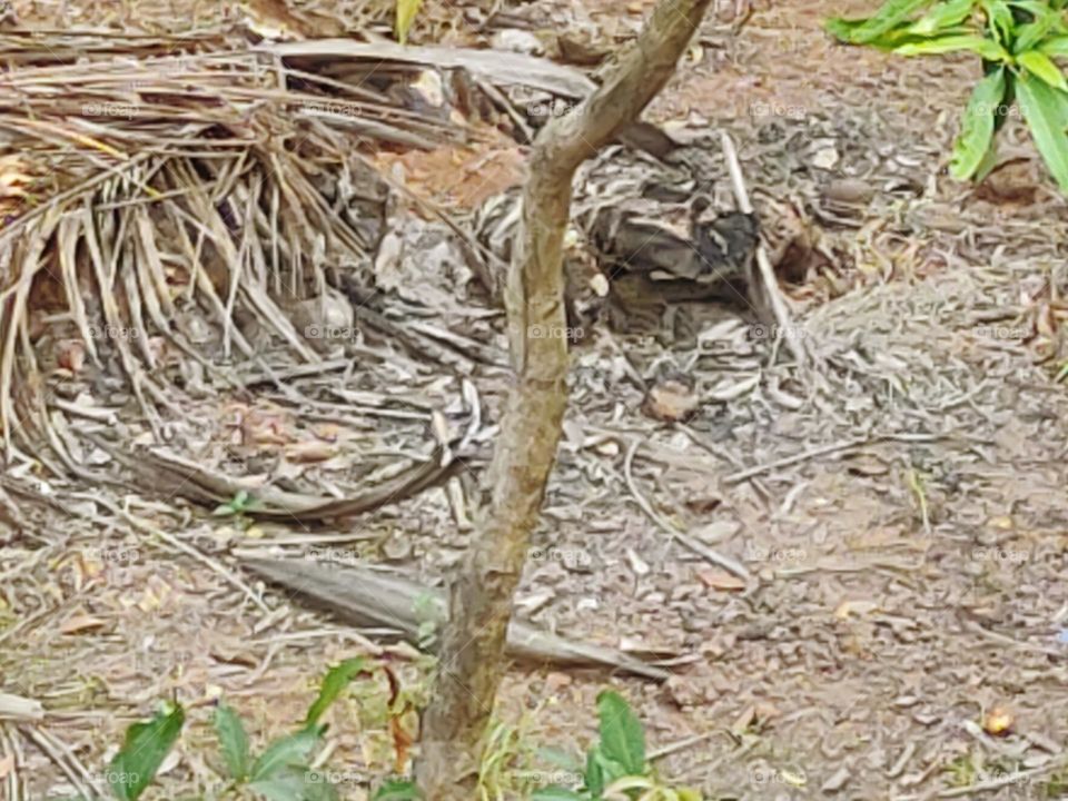 Disgusting || What a mess !