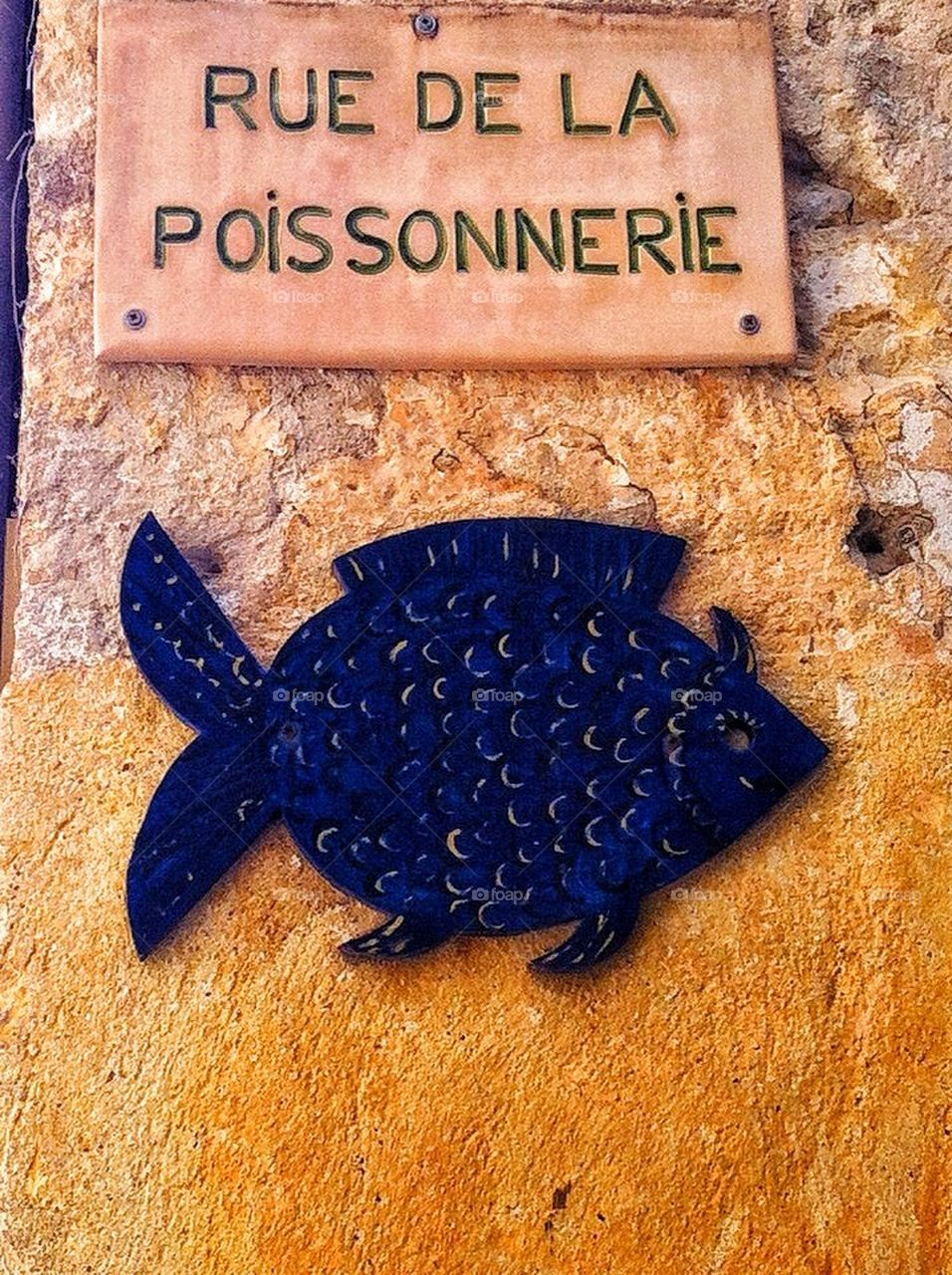 Fish provencale