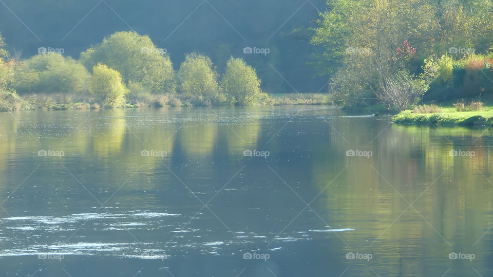 Quiet river and trees