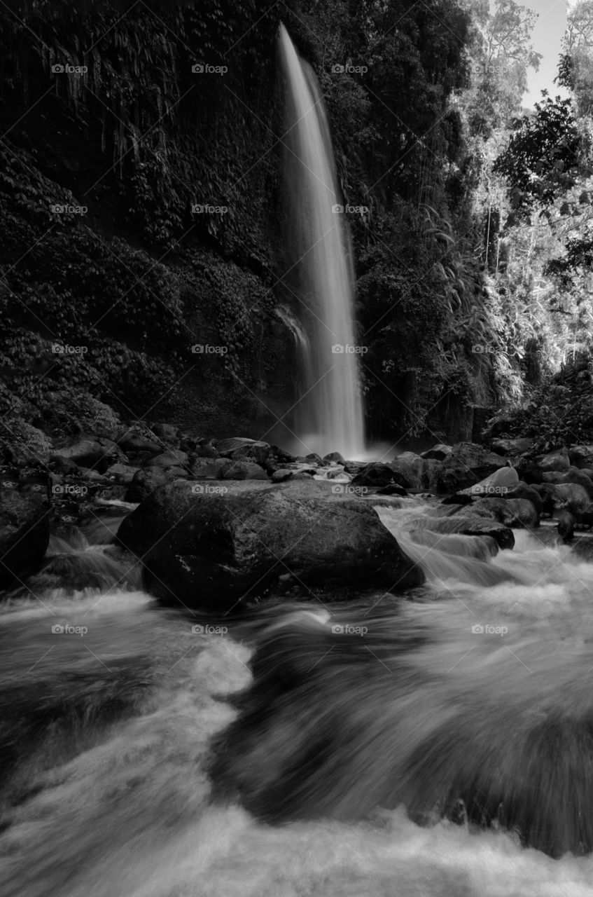 Layered water flows with cool air and green scenery are attractions that you can enjoy when you visit Sendeng Gile waterfall in Lombok, Indonesia. Motion blur and soft focus due to Long Exposure Shot. Black and white photography.