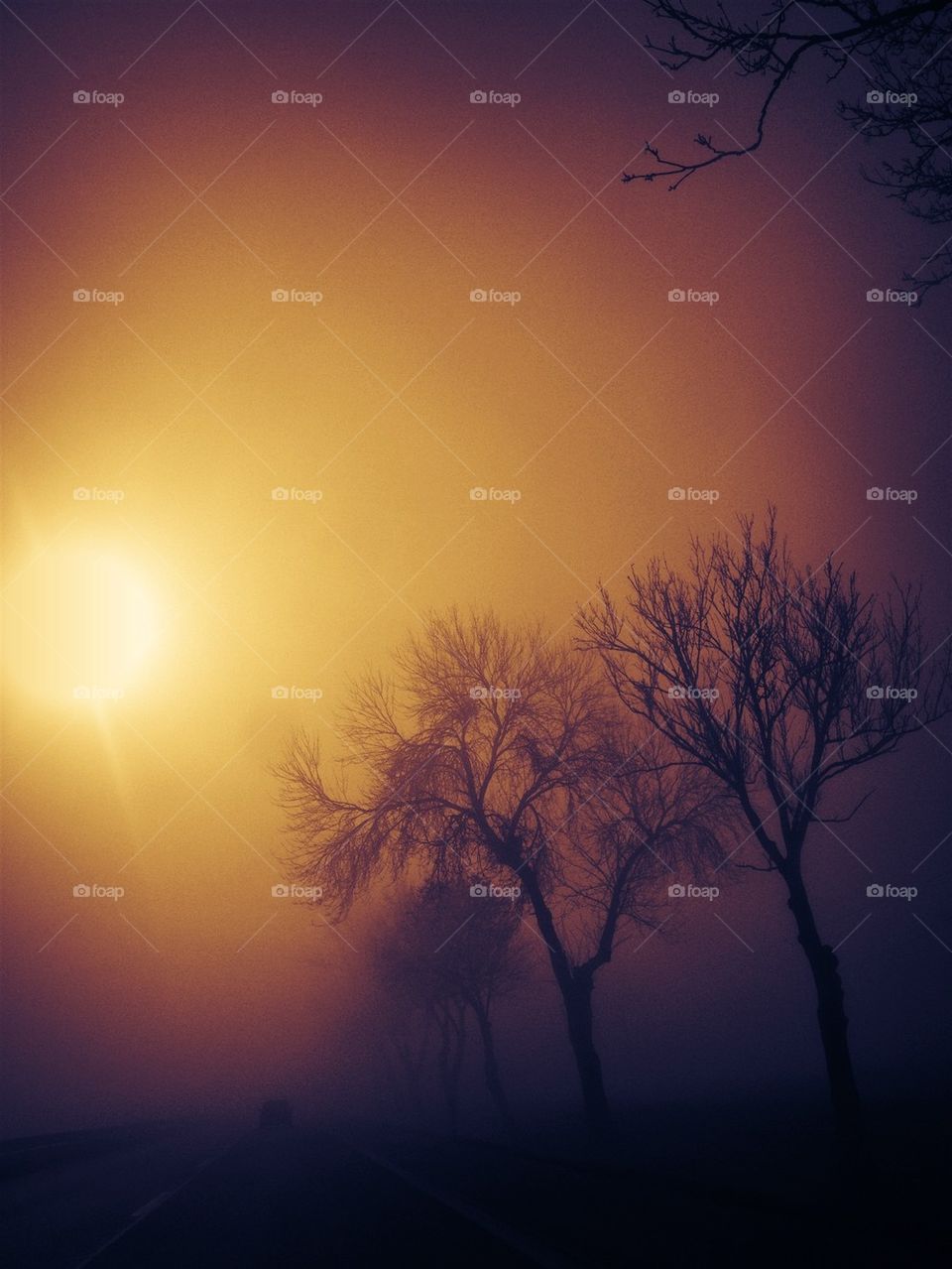 View of sunset in foggy weather