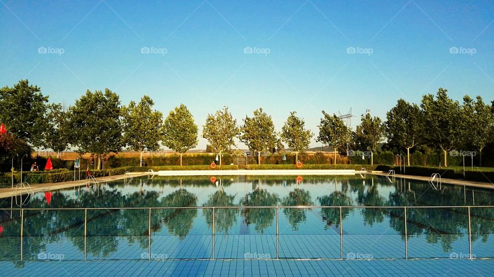 reflections of trees in the water of the swimming pool