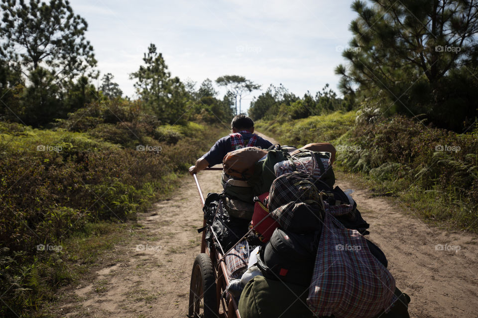 Man carrying cart in the forest 