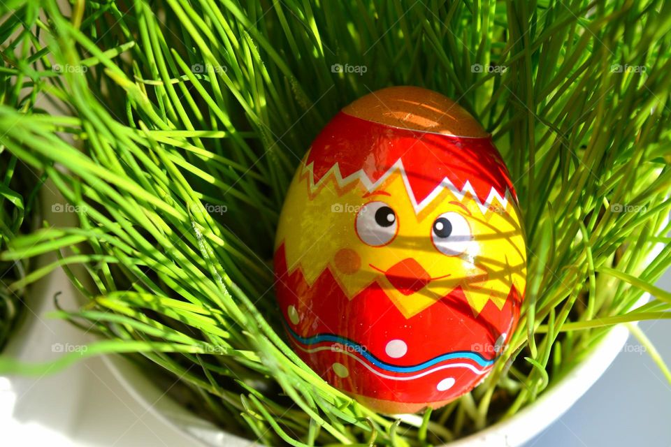 Easter egg chick and green grass