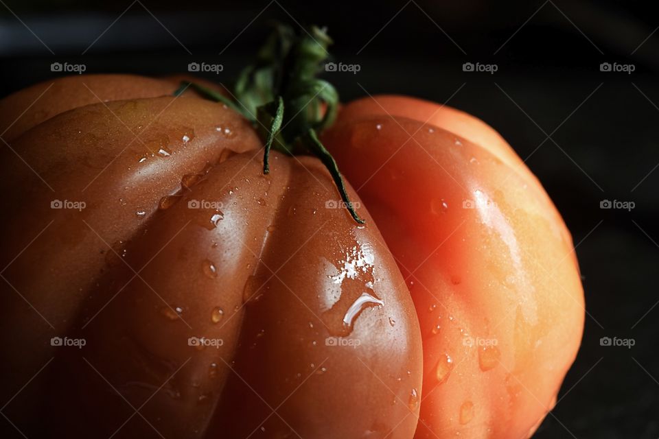 Studio shot of tomato