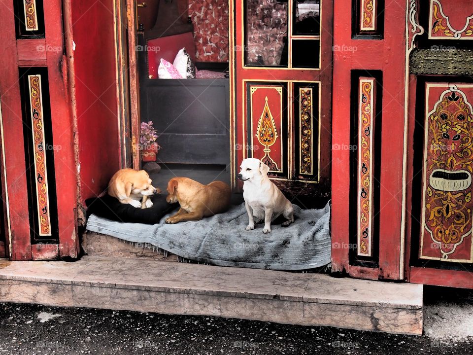 three in the stepway