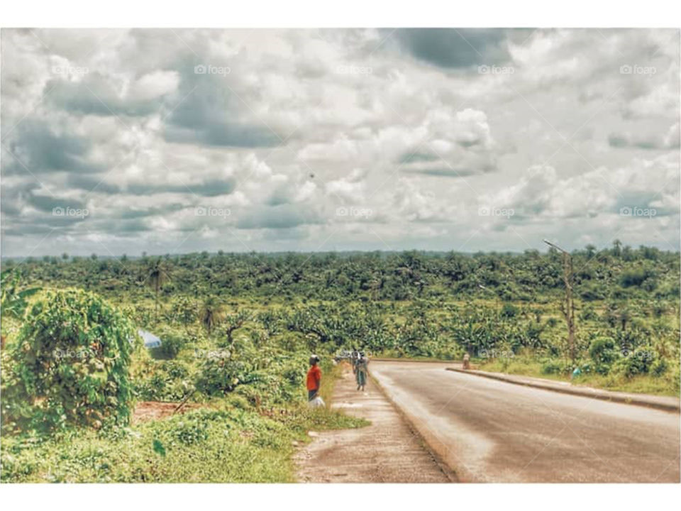 West Africa landscape, forest and wide sky