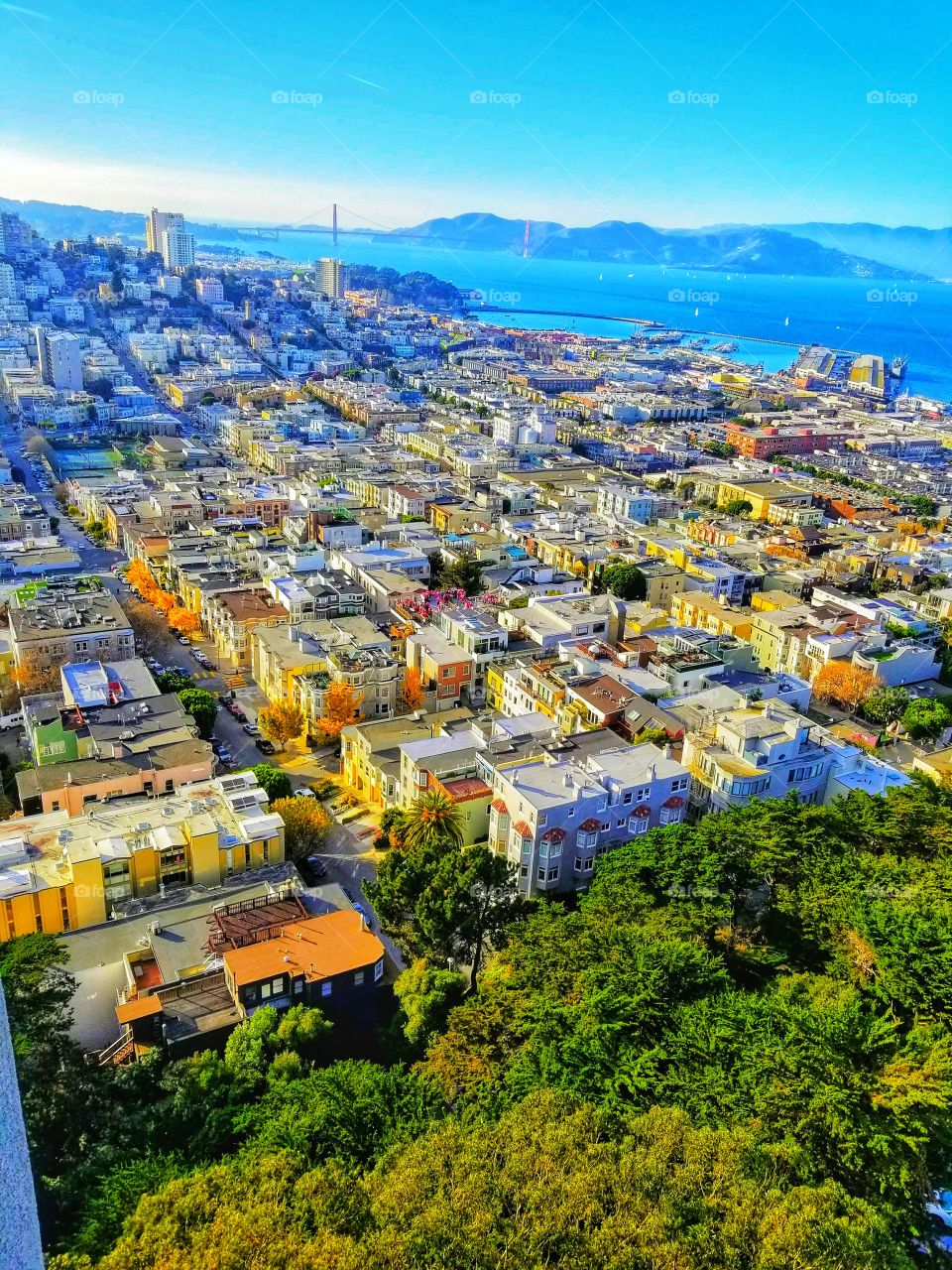 SAN FRANCESCO|california