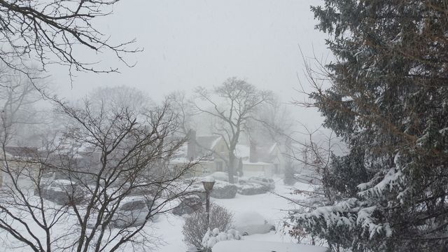 blizzard effect