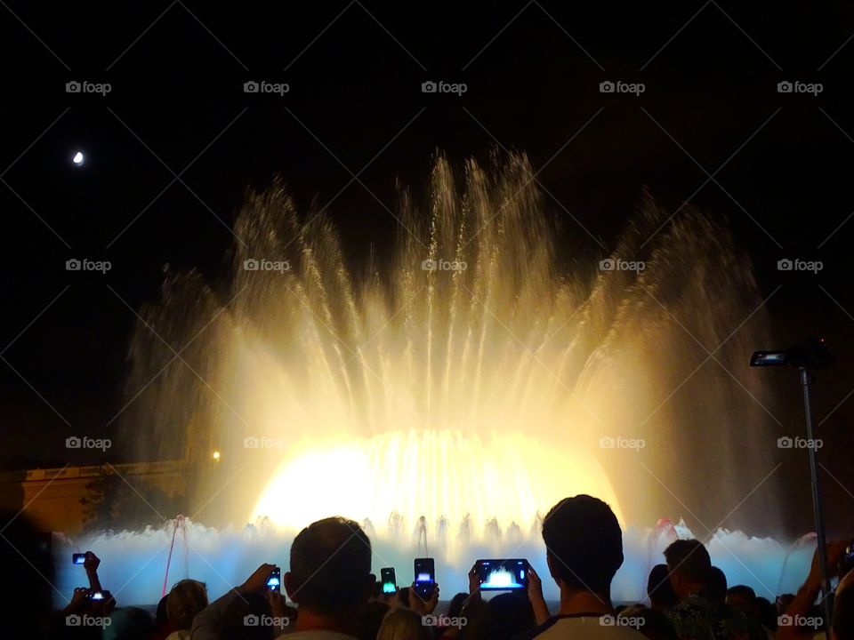 The light gives life