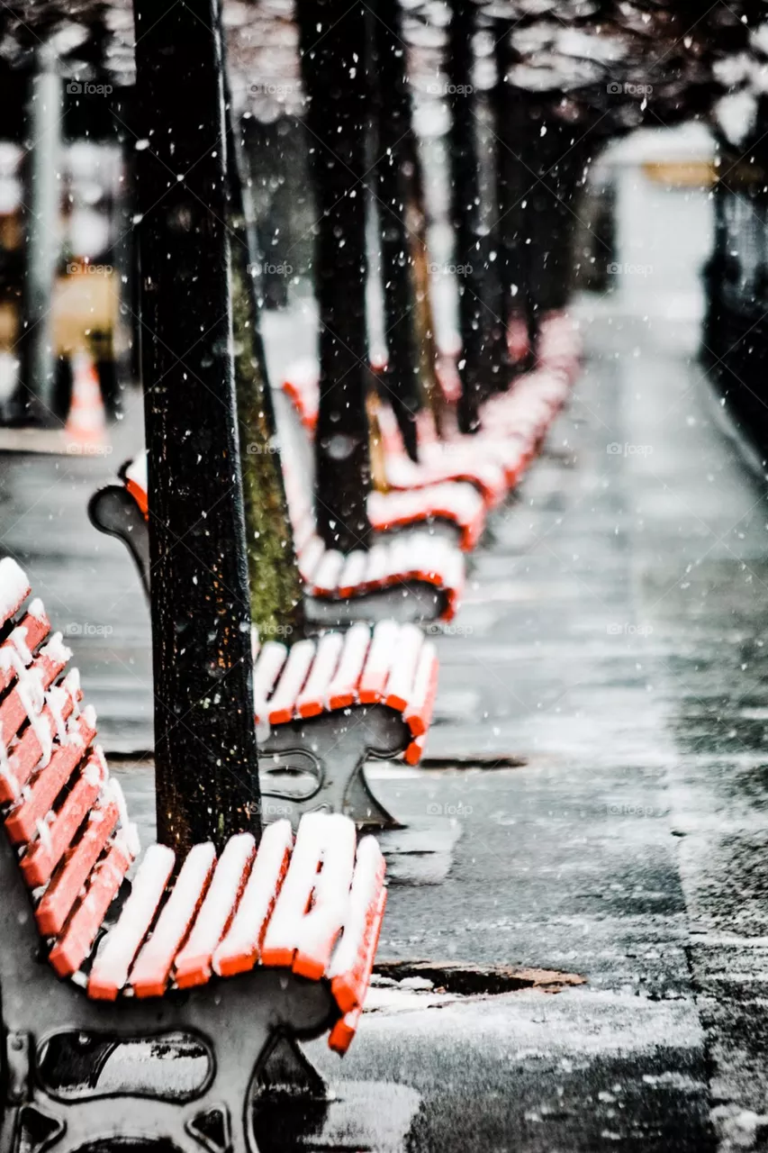 winter