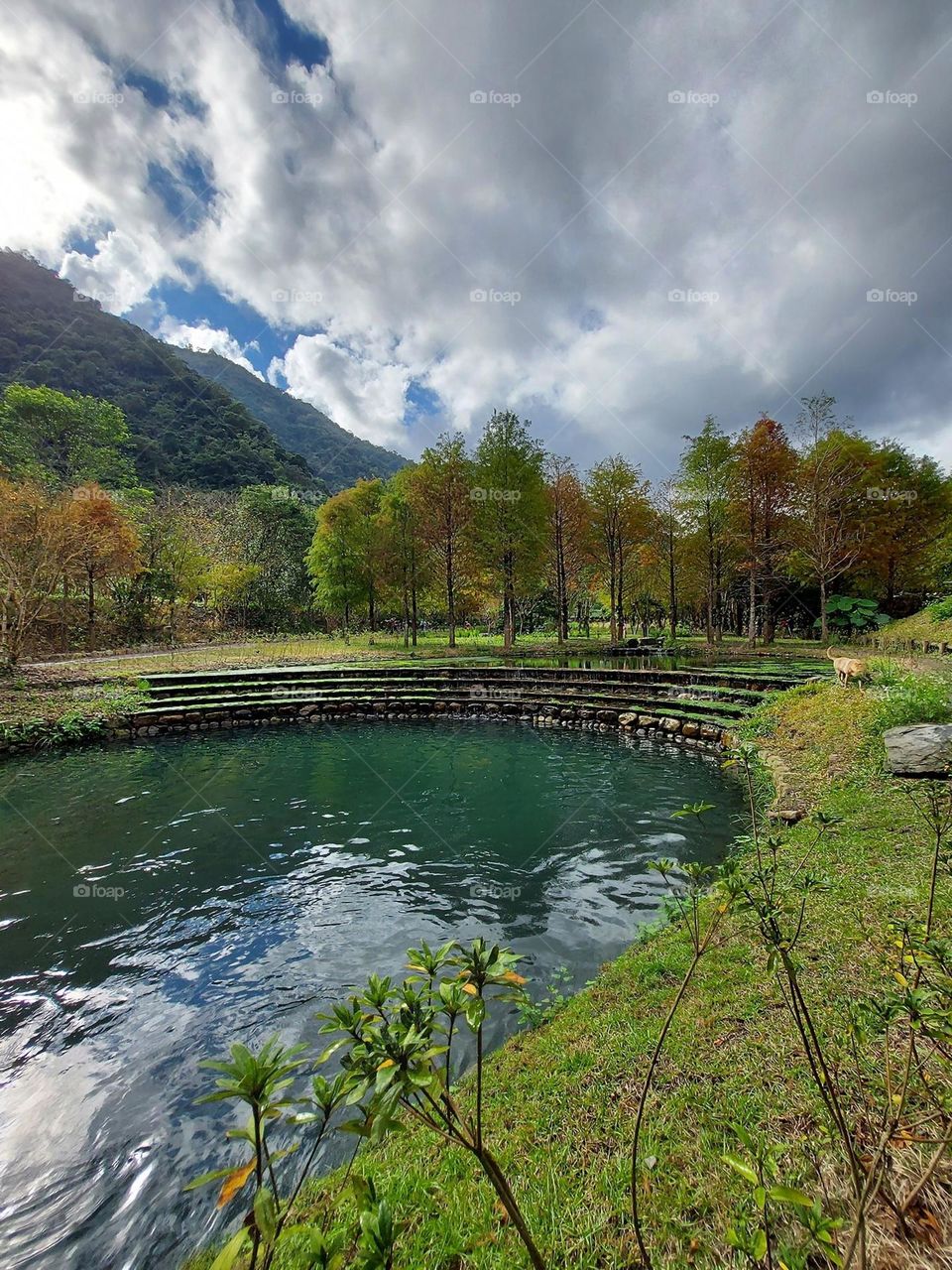 Beautiful mountain and forest and lake scenery