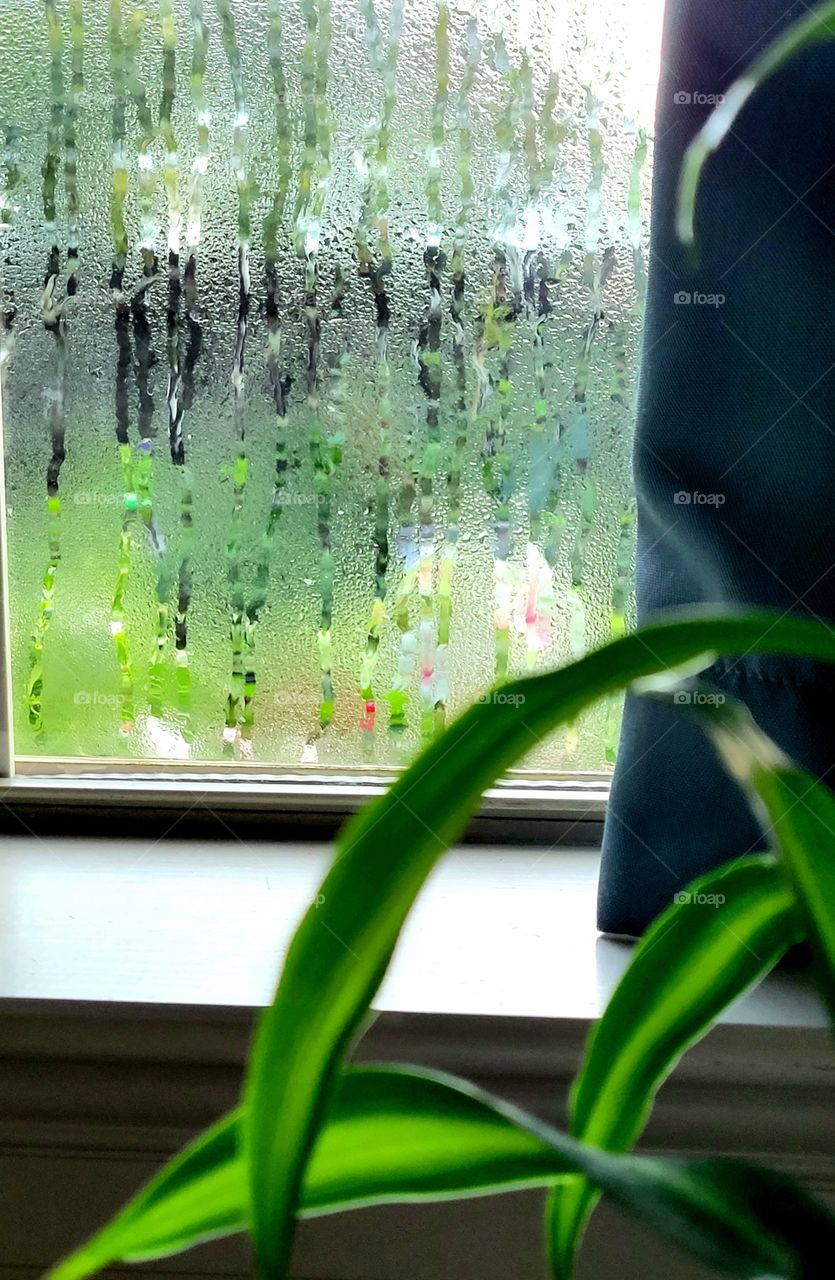 rain streaks on window glass