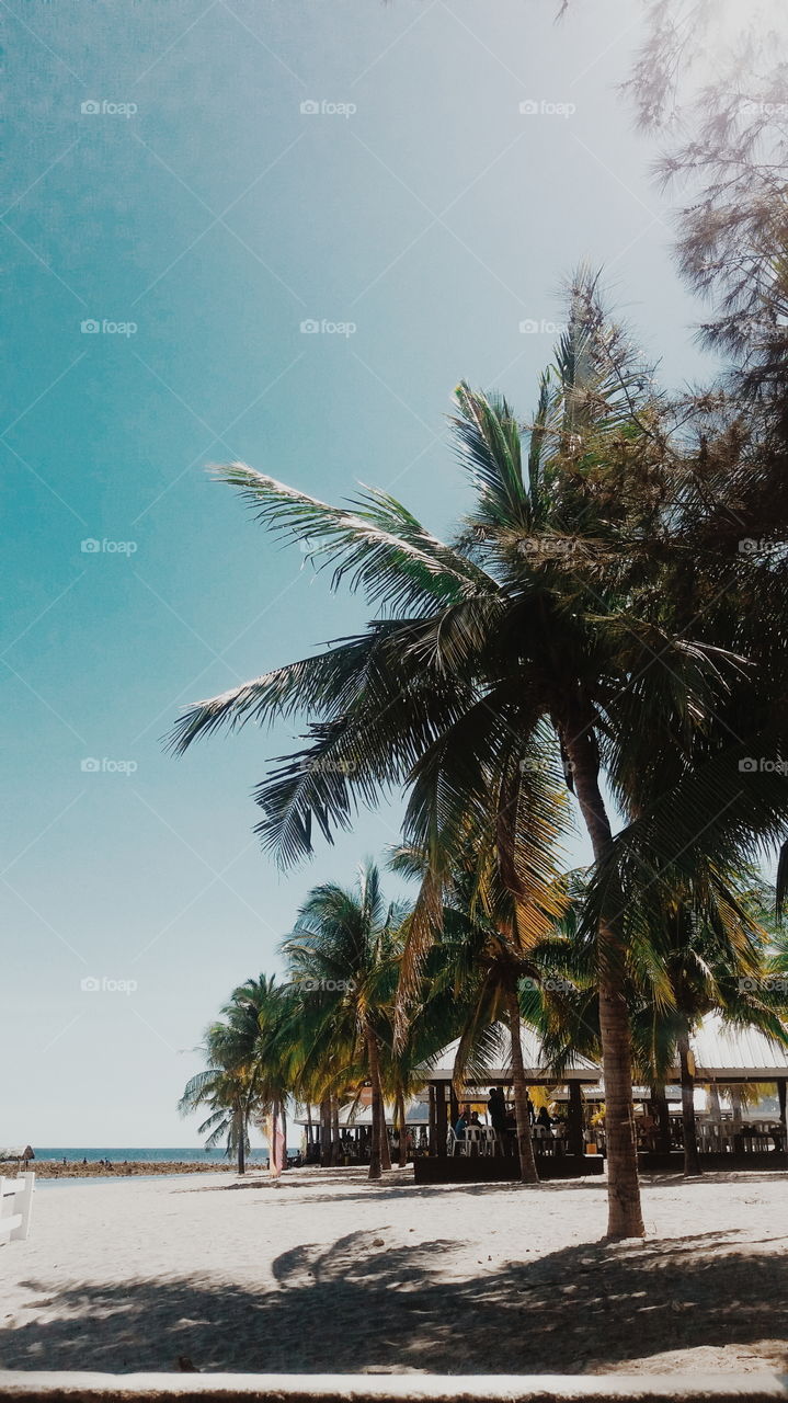 The view from our hut.