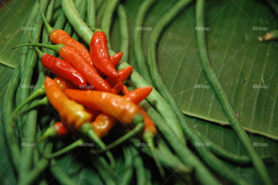 photo close up.. green background, chili pepper