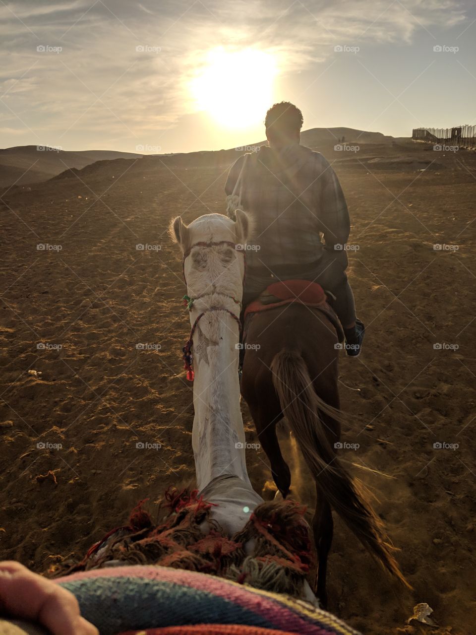 Being led into the deserts of Giza, Egypt on a camel.