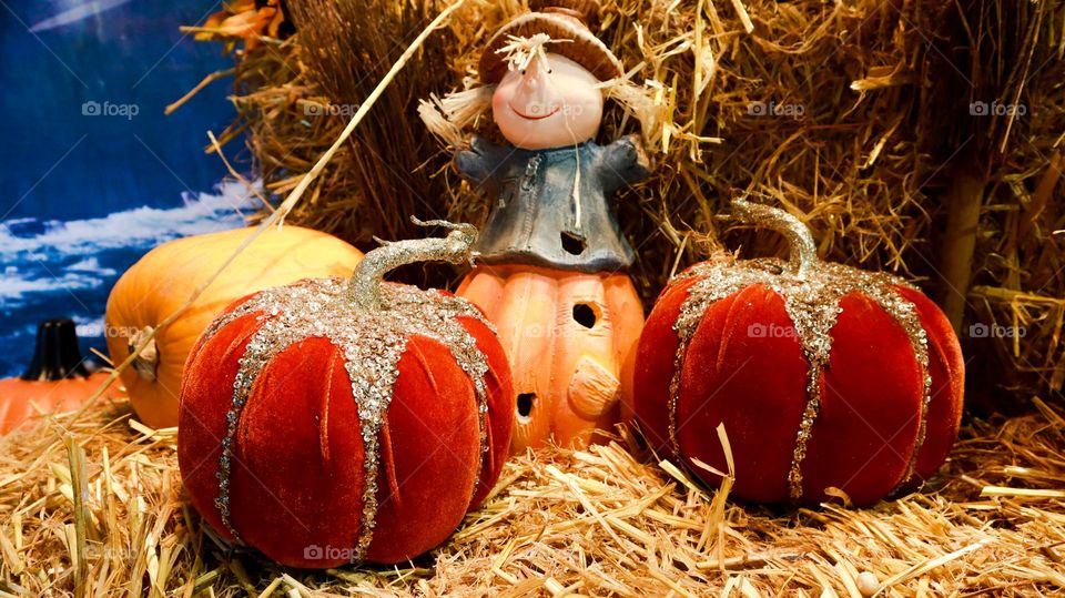 Spooky cutie pumpkin witch