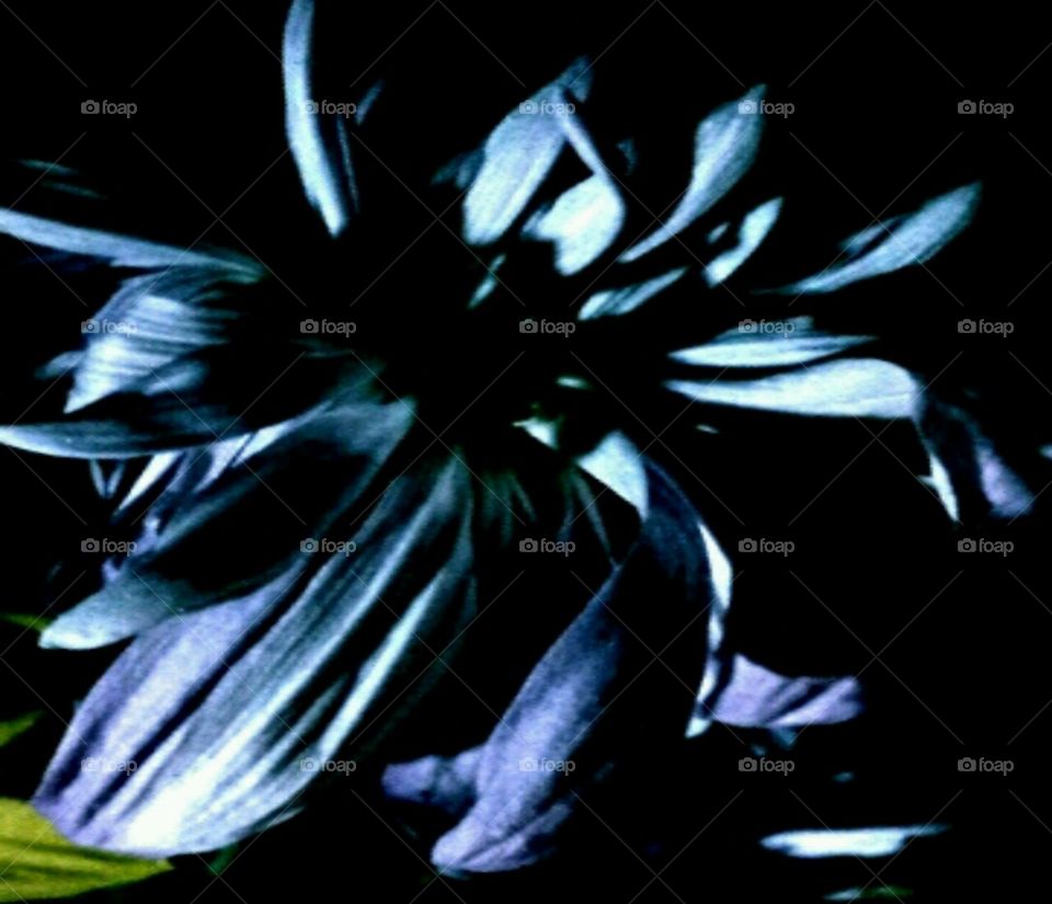 superstar. lighting effects