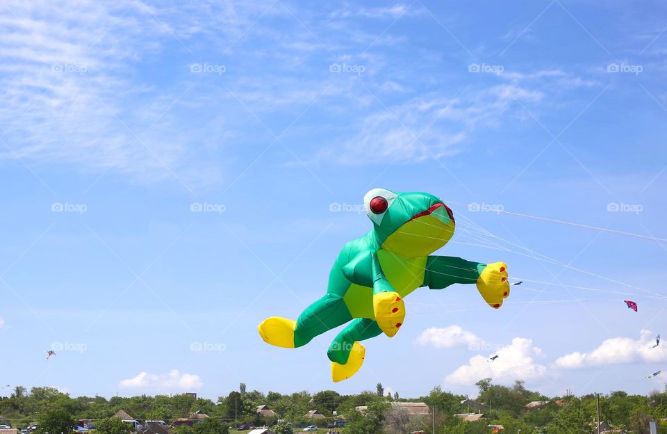 Big frog kite flys in the blue sky