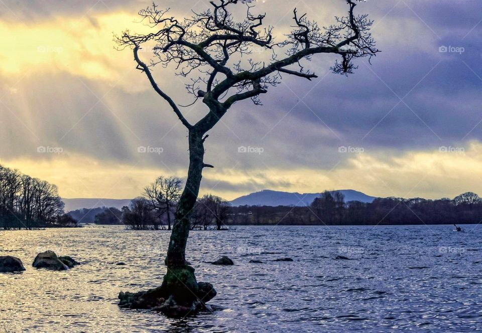 Beautiful light rays