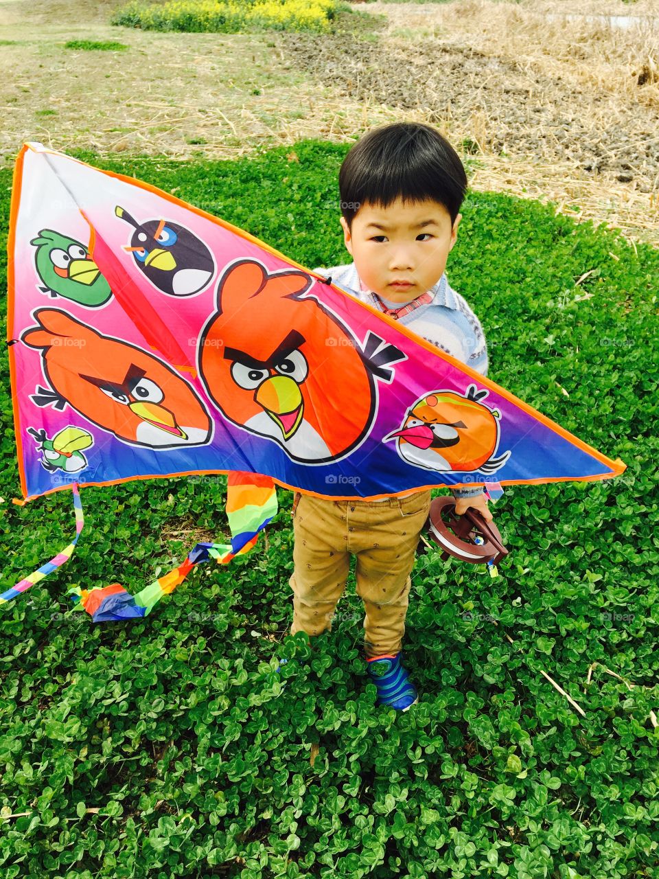Portrait of cute boy holding colorful kite