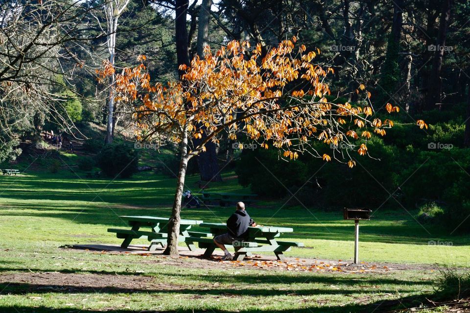 Man in the park 