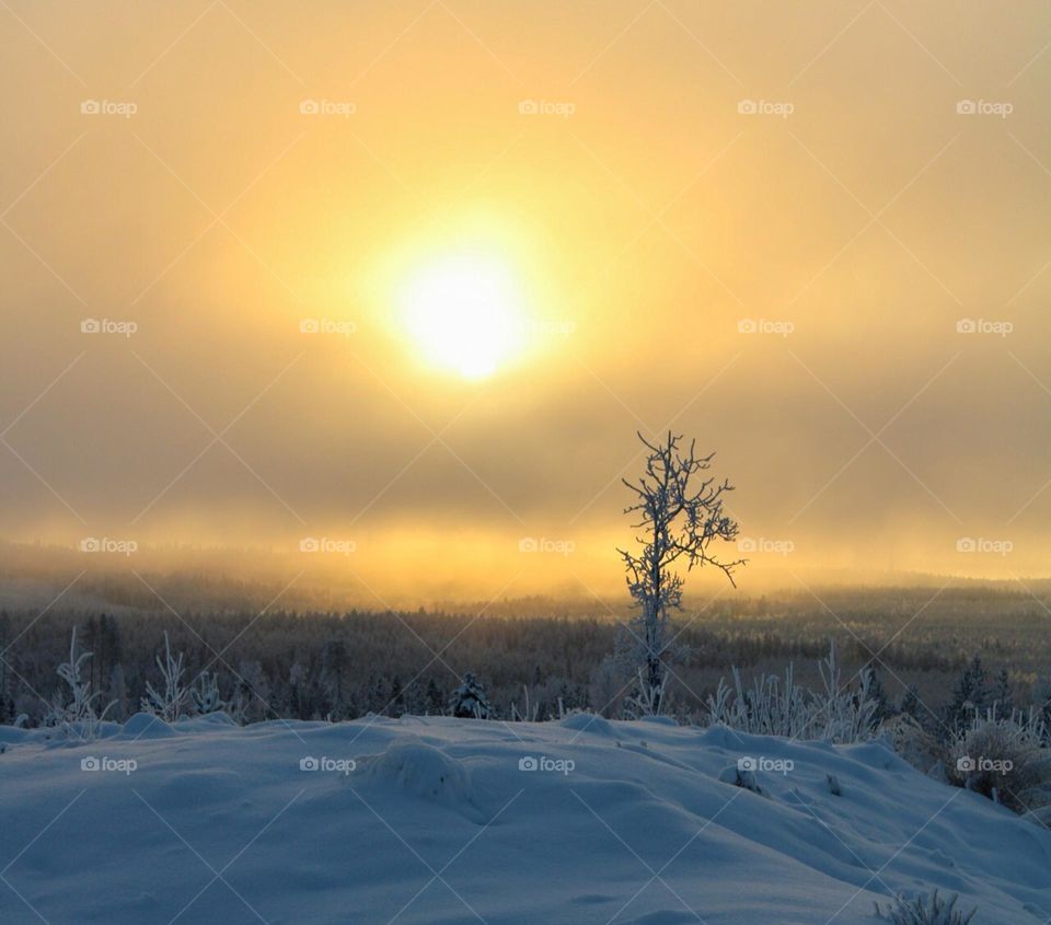 Only the eagle is missing