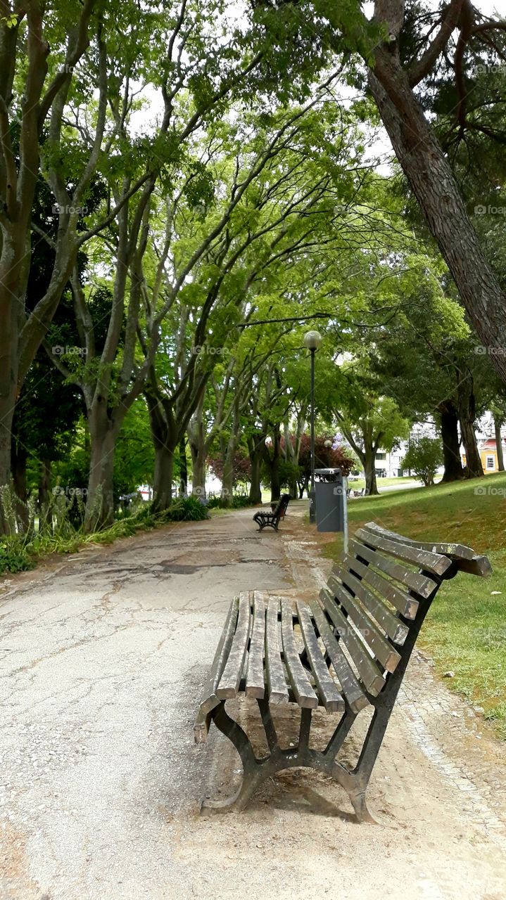 Path in the Parque Eduardo VII in Lisbon, Portugal.