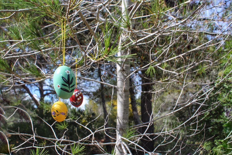Easter eggs hanging in a tree