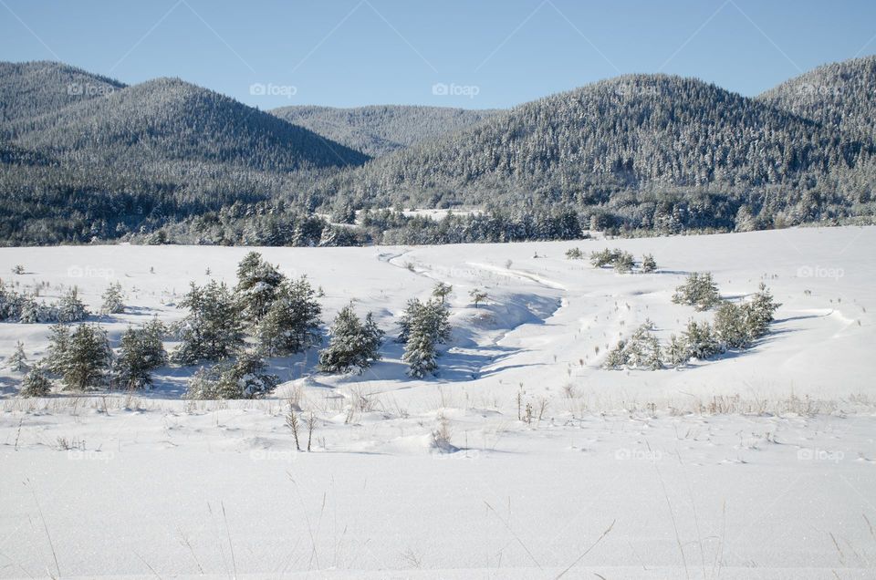 Winter landscape