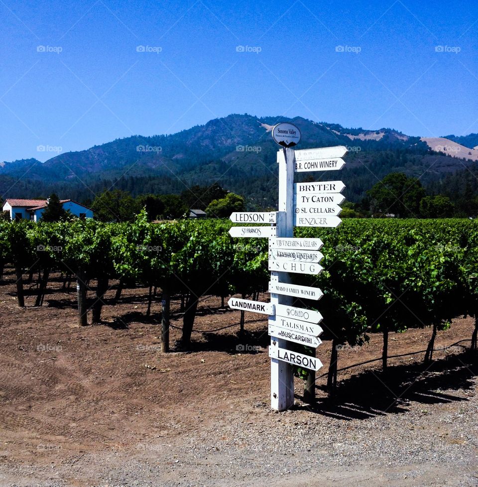 Sonoma Vineyard Sign