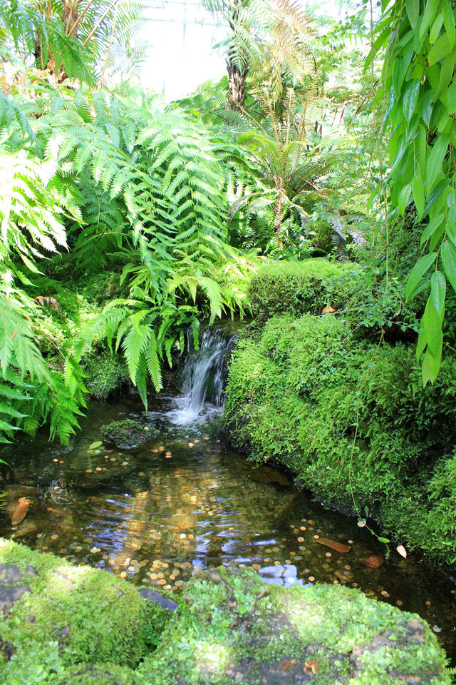 Small waterfall