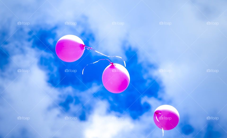 balloons in the sky