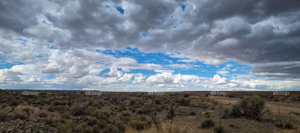 Karoo landscape