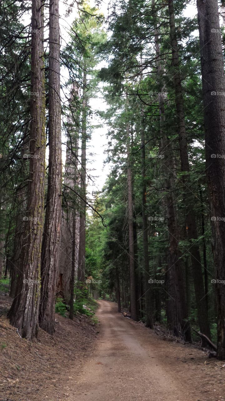beautiful hiking trail