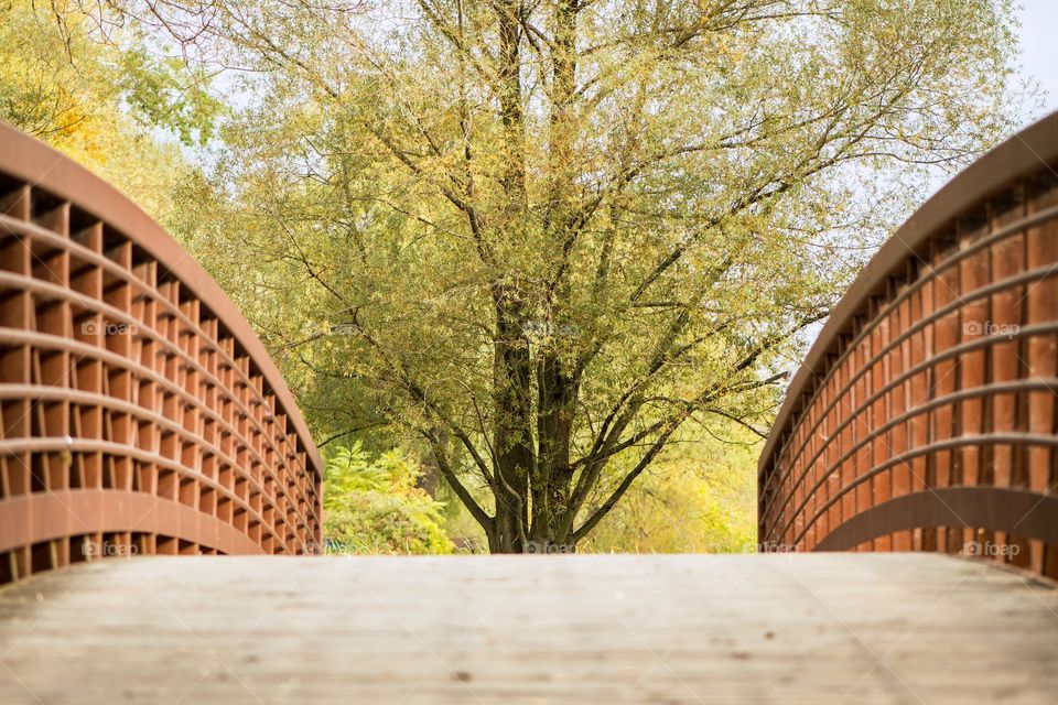 Small bridge over a creek in a countryside