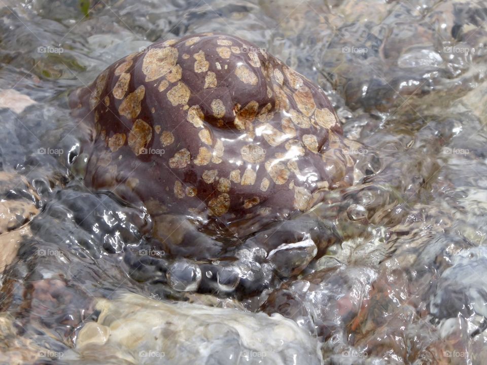 Rhombenporphyr Baltic Sea 