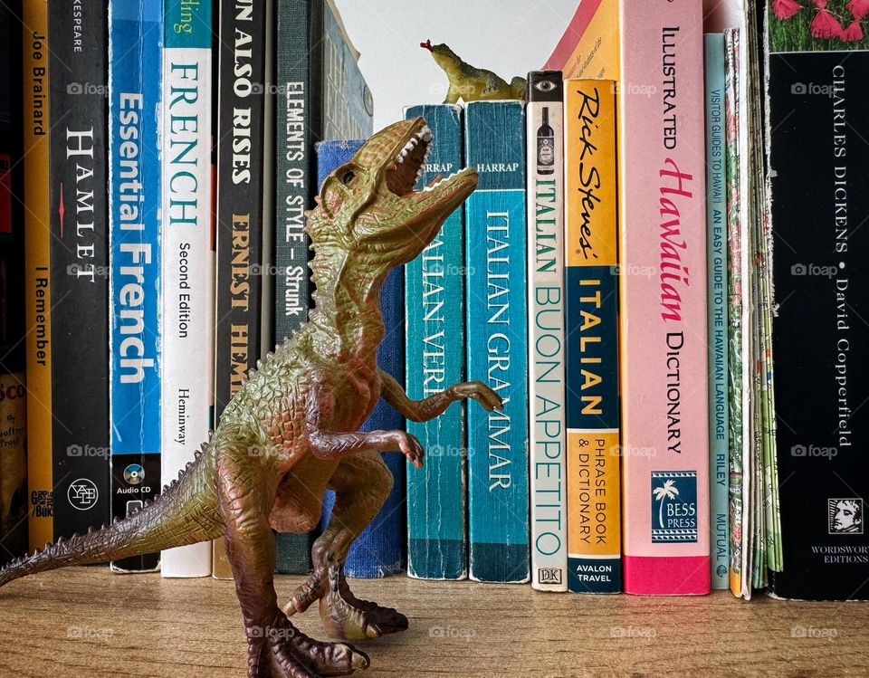 Dinosaurs on a bookshelf 