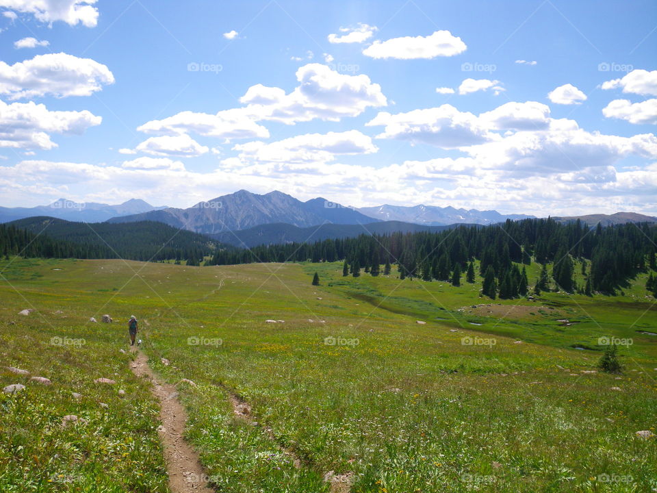 Hiking in Colorado with dogs