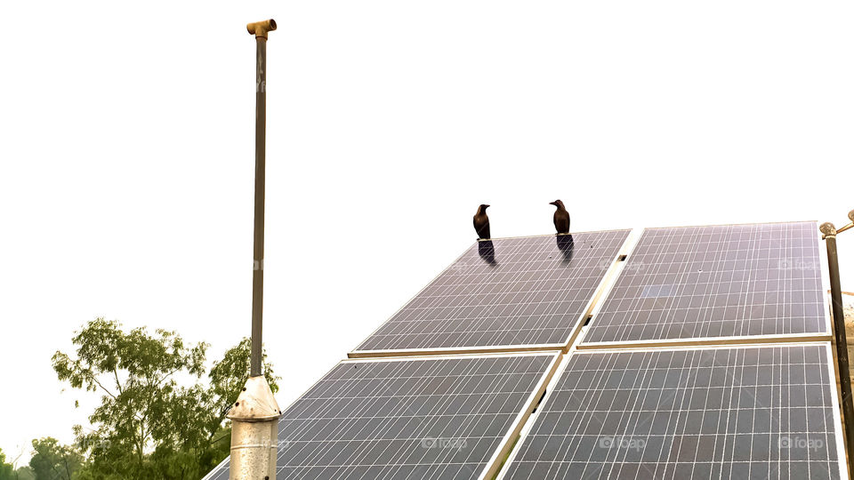 Two crows sitting on the solar panels looking at each other