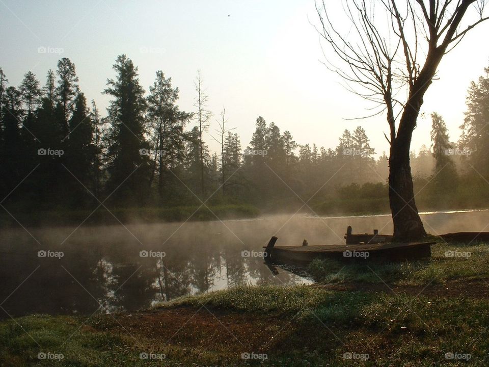 Foggy River