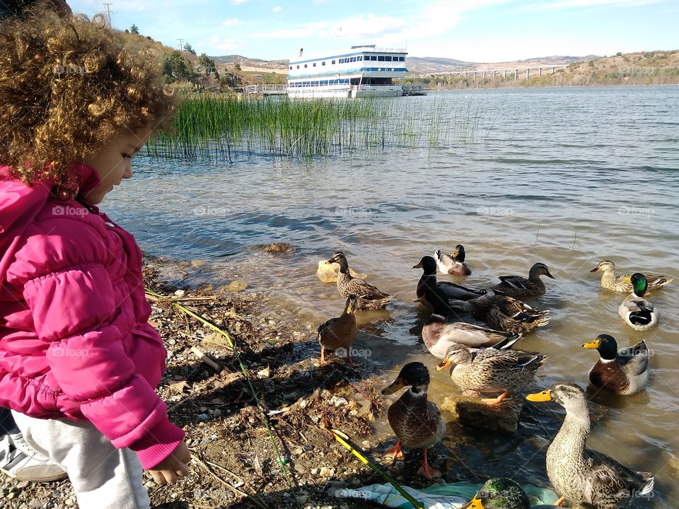 Dancing, feeding and sharing friendship with ducks. At "Mladost" lake.