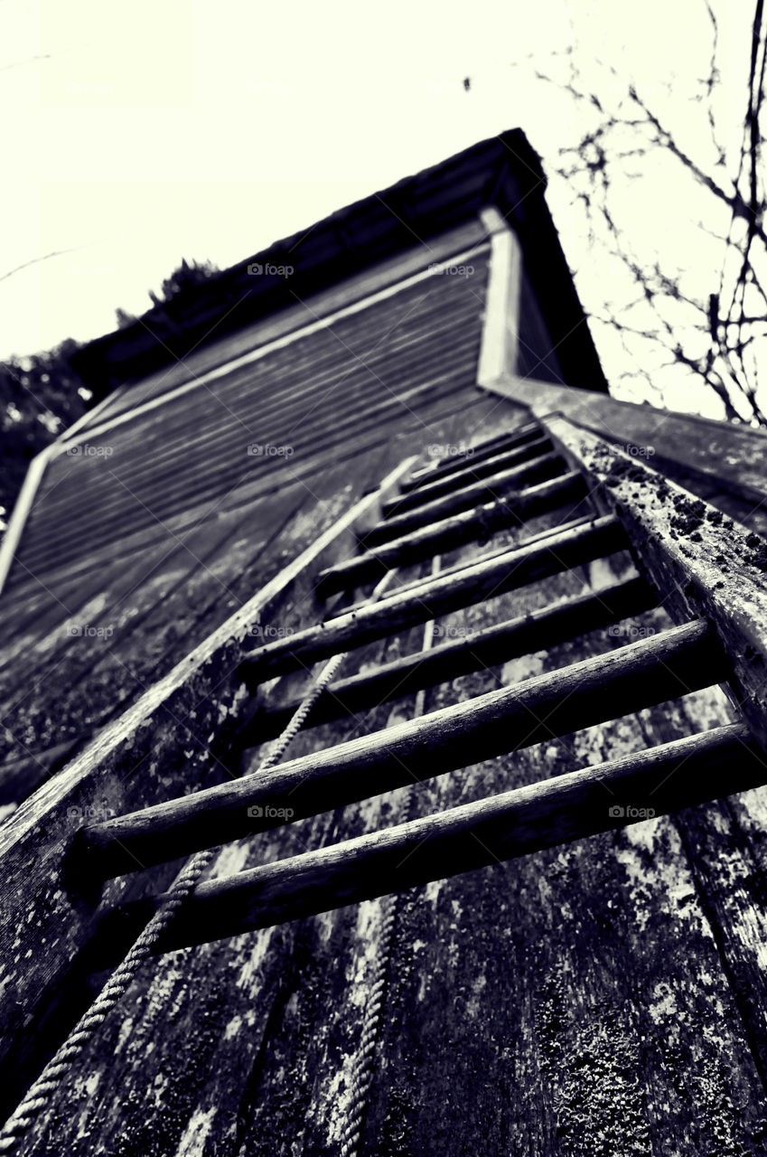 ClimbYour Way To The Top. House & ladder in the Mt. Hood National Forest