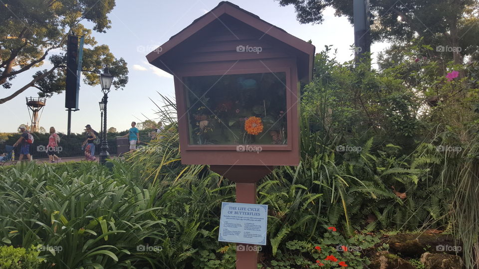 The butterfly garden is one of the many must-sees at the EPCOT International Flower & Garden Festival.