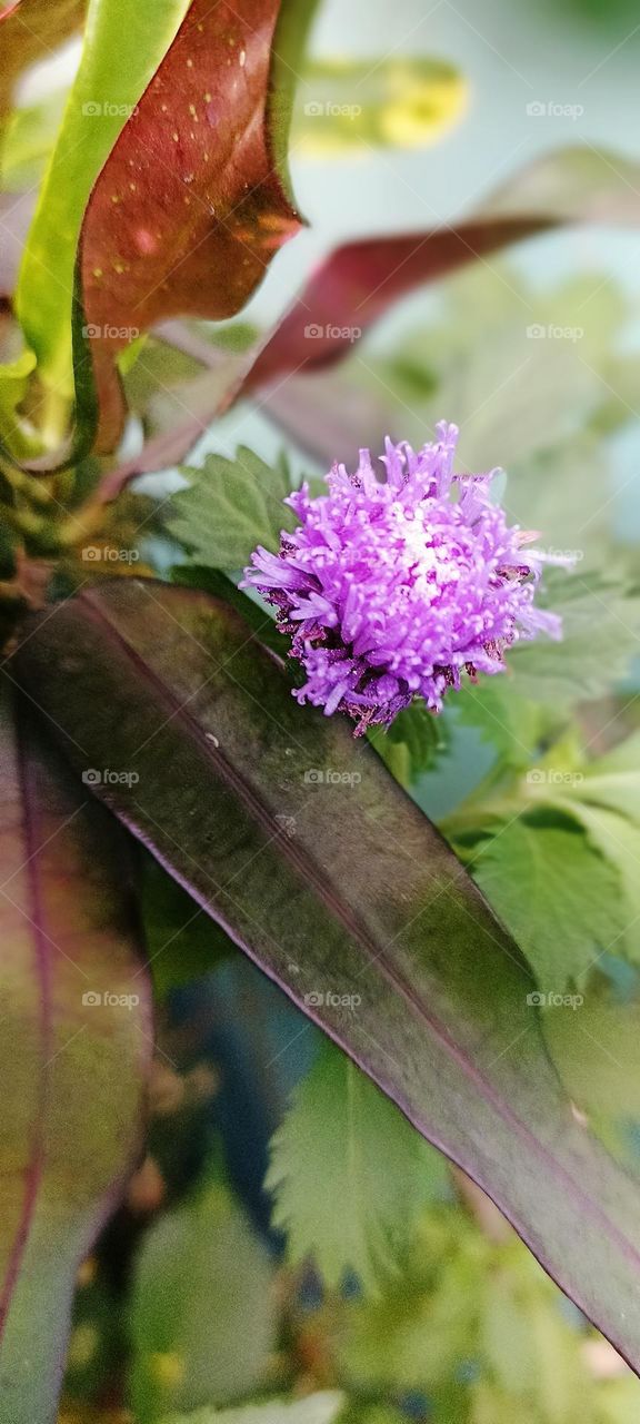 bold and beautiful colors are the perfect combination of nature around us