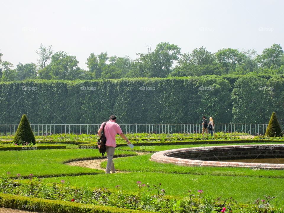 Landscape, Tree, Grass, Summer, Outdoors