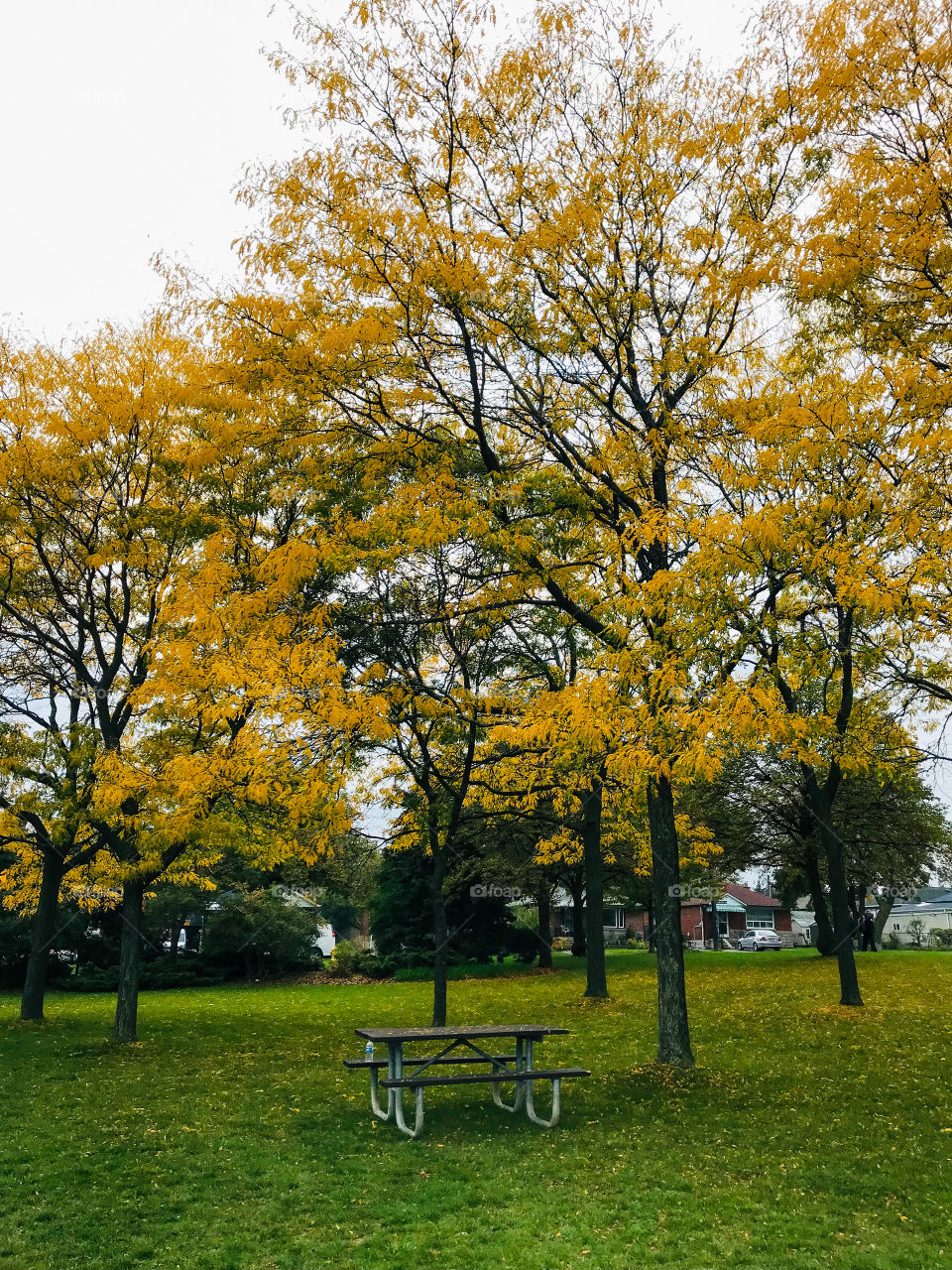 Moods of autumn 