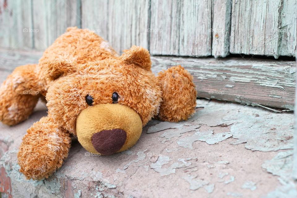 Bear, teddy bear, brown bear, toy, children's toy, childhood, child, game